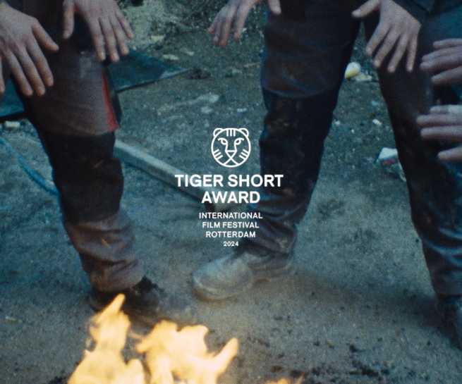 worker's wings, editing, rotterdam film festival, IFFR, tiger short award